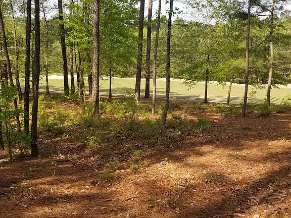 2nd image of 116 Hanlon Woods Court