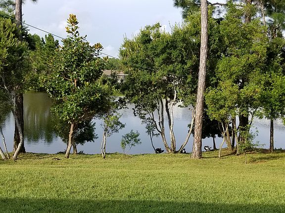 backyard Aug 2018