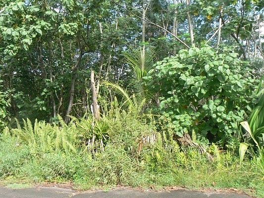 4th image of LOT 99 Lot 99