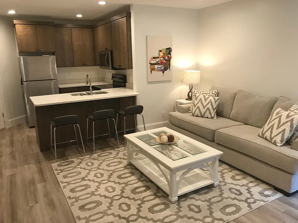 Furnished Living Room and Kitchen