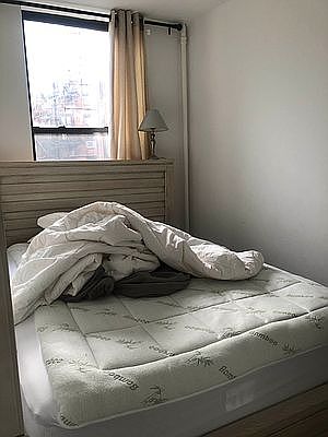 5th image of 77 Saint Marks Pl #31