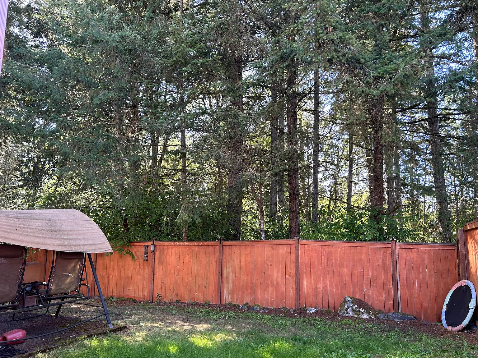 1237 Evans Ct — Photo 4