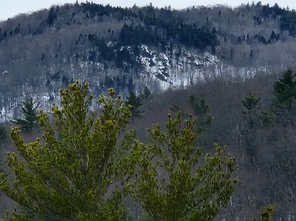 0 Old Stage Coach Road #21, Plymouth, NH 03264