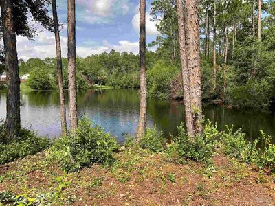 12335 Ailanthus Dr, Pensacola, FL, 32506