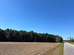 McClellan Rd, Hamer, SC 29547