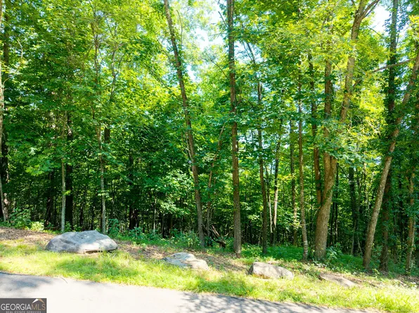 46 Buck Ridge Trl, Murphy, NC 28906