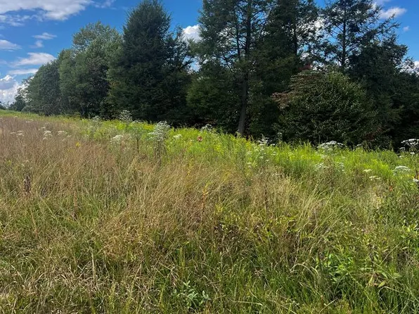 318 River Ridge Ln, Mount Nebo, WV 26679