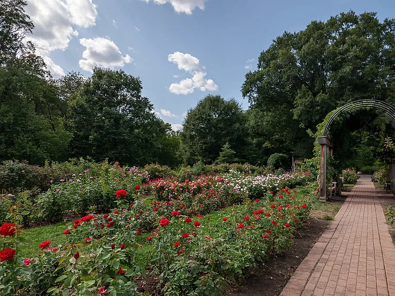 Stop and Smell the Roses at Bon Air Park
