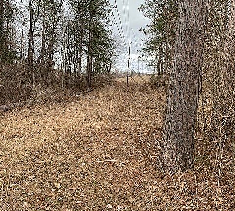 end tree line poperty line