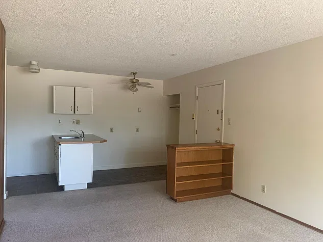1 Bedroom Pet Friendly Apartments at Bridgeview!! — Photo 3