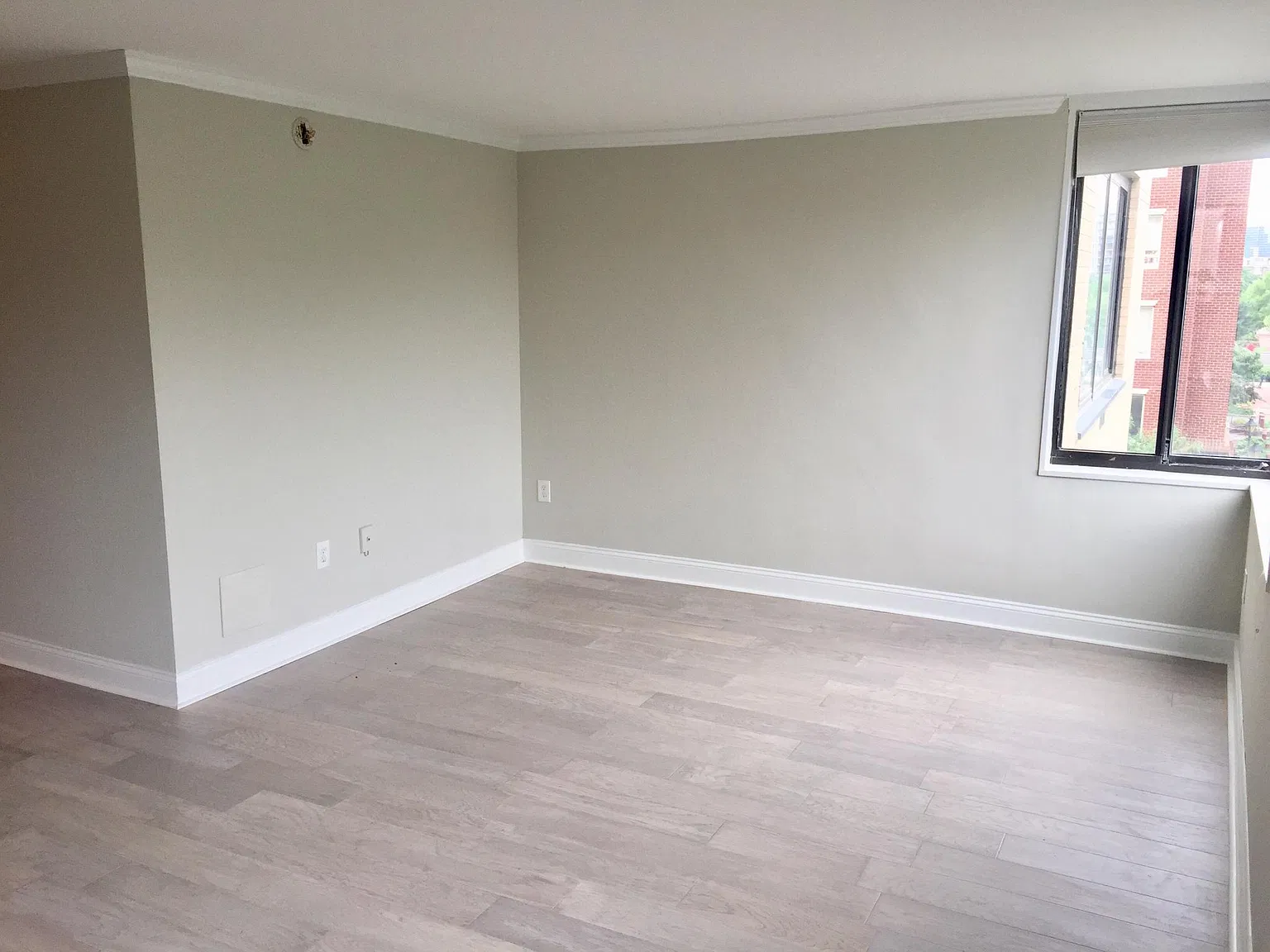 Studio, 505 sqft, $2,000 — Photo 2