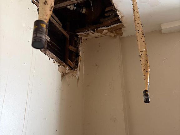 5th image of 915 E Schiller St