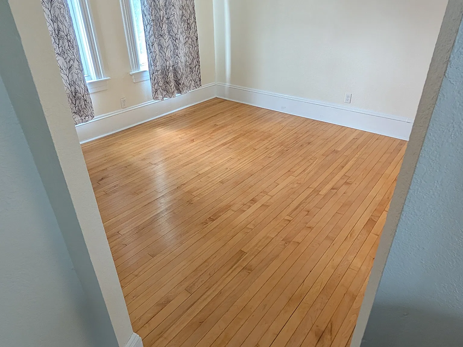 Studio, 500 sqft, $795 — Photo 3