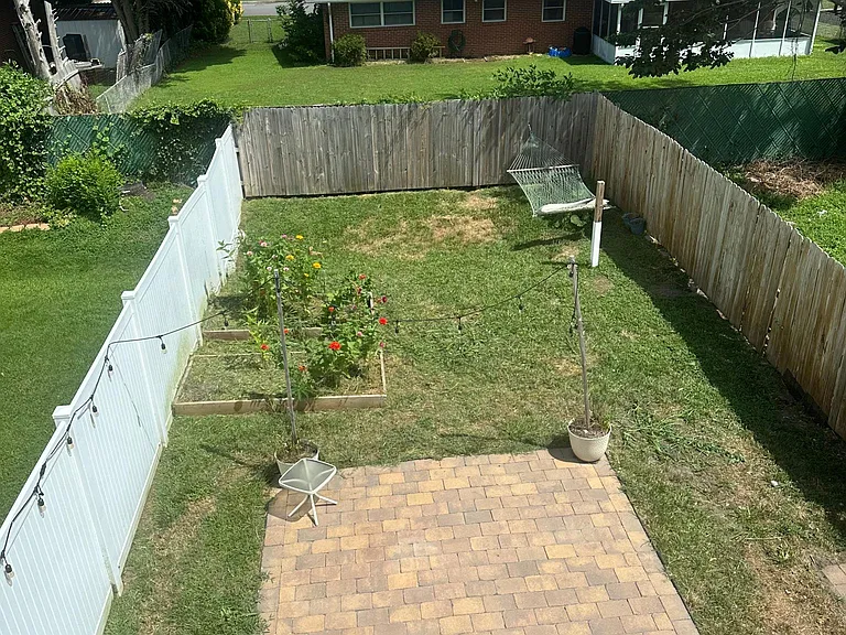 Back yard
