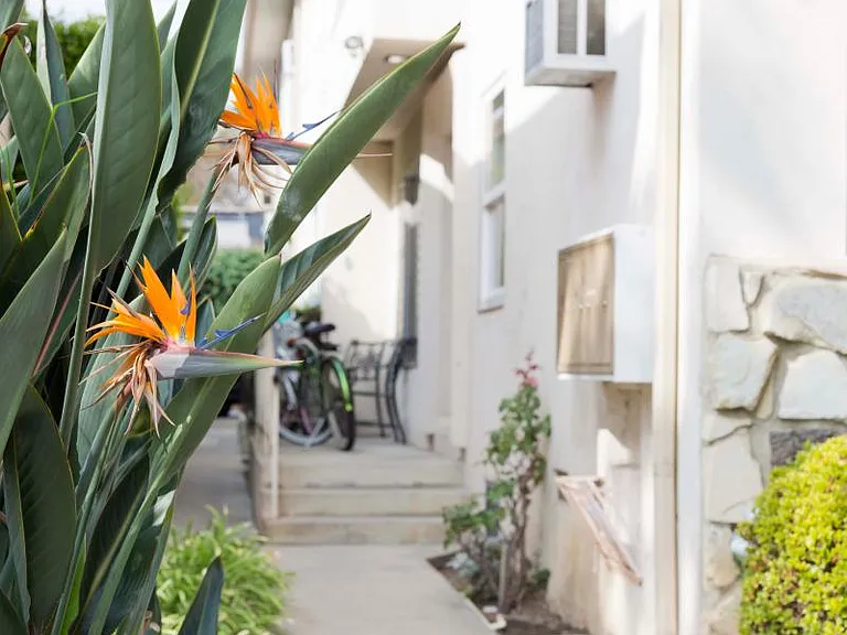 337 S Doheny Dr #4 — Photo 6
