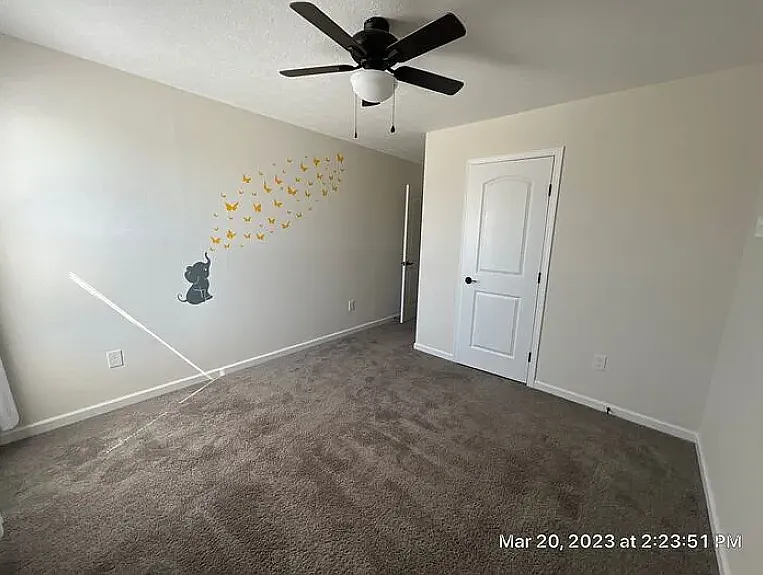 413 Fox Dr — Photo 19
