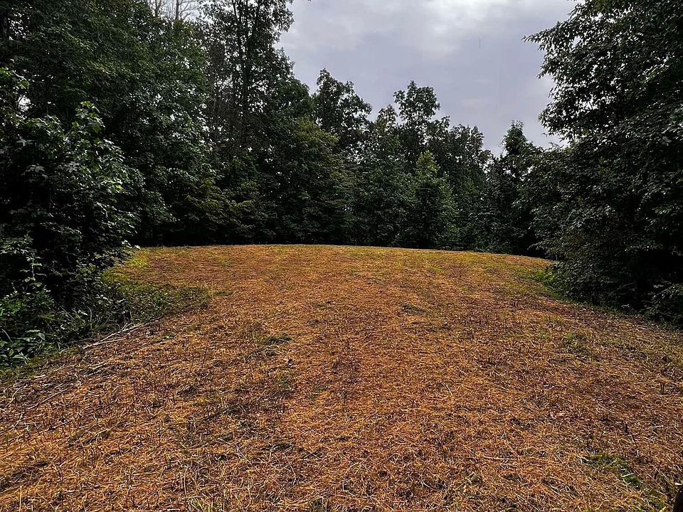 LOT 1 Waterfowl Way, Cadiz, KY 42211 Zillow