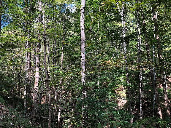 2nd image of Off Scary Creek Road Rte #22