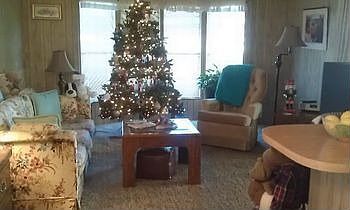Bay window great for Christmas Tree