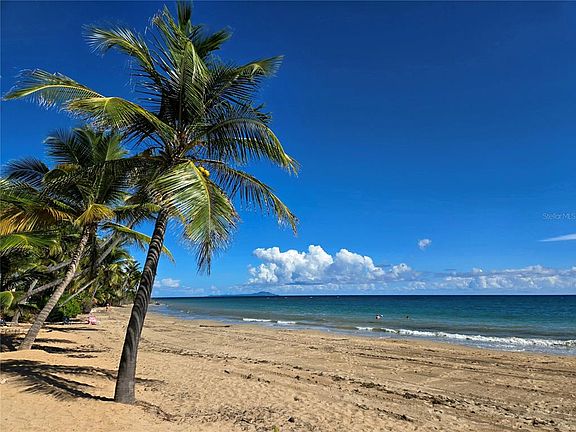 5th image of 190 Candelero #162