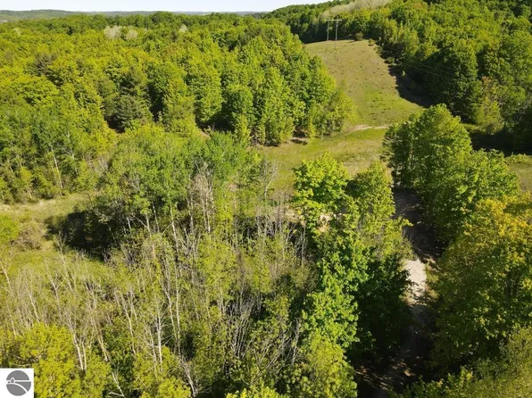 Pesek Rd, East Jordan, MI 49727
