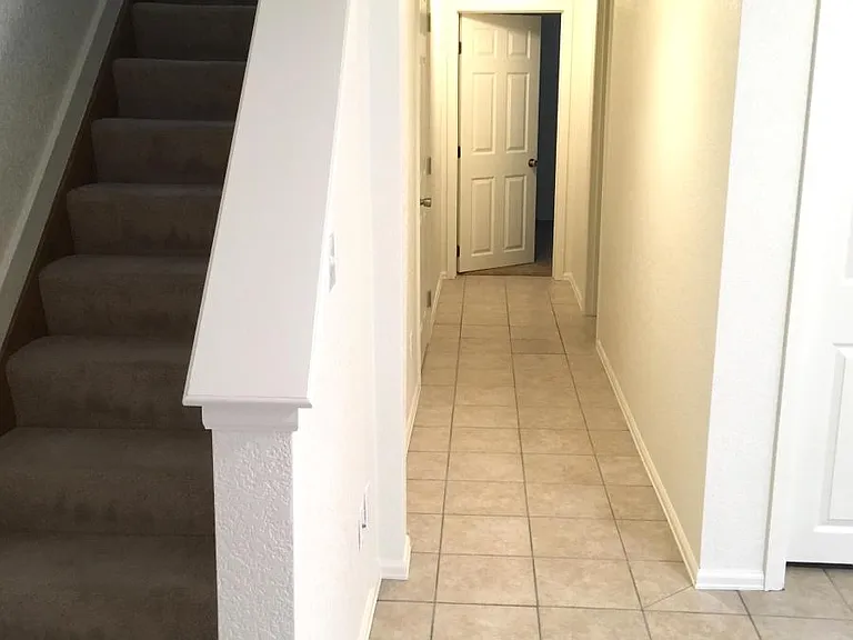 brand new finished basement