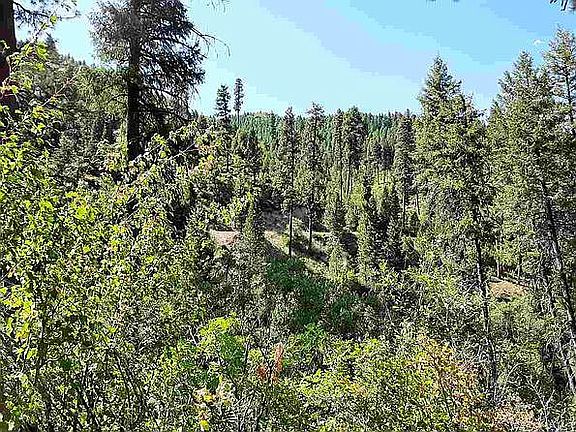 Enchanted Valley Area