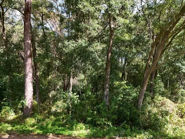 4197 N Indianriver Dr #39, Hernando, FL 34442