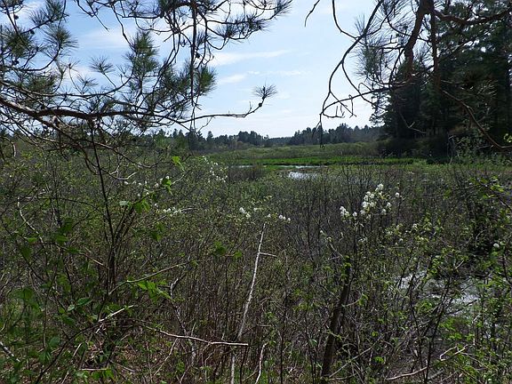 3rd image of ON CAMP NINE RD