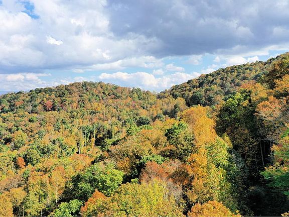 3rd image of Vl313 Mountain Forest Ests