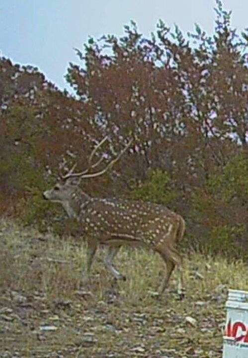 1st image of TBD SD 45455 LOT 21