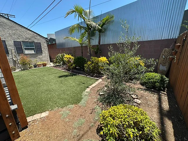Back yard #2