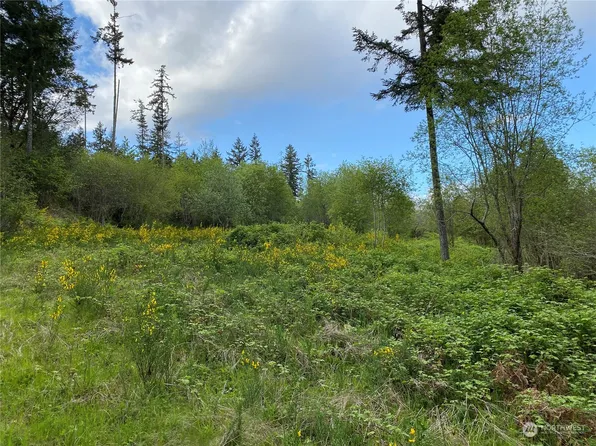 18703 SR 302, Gig Harbor, WA 98329