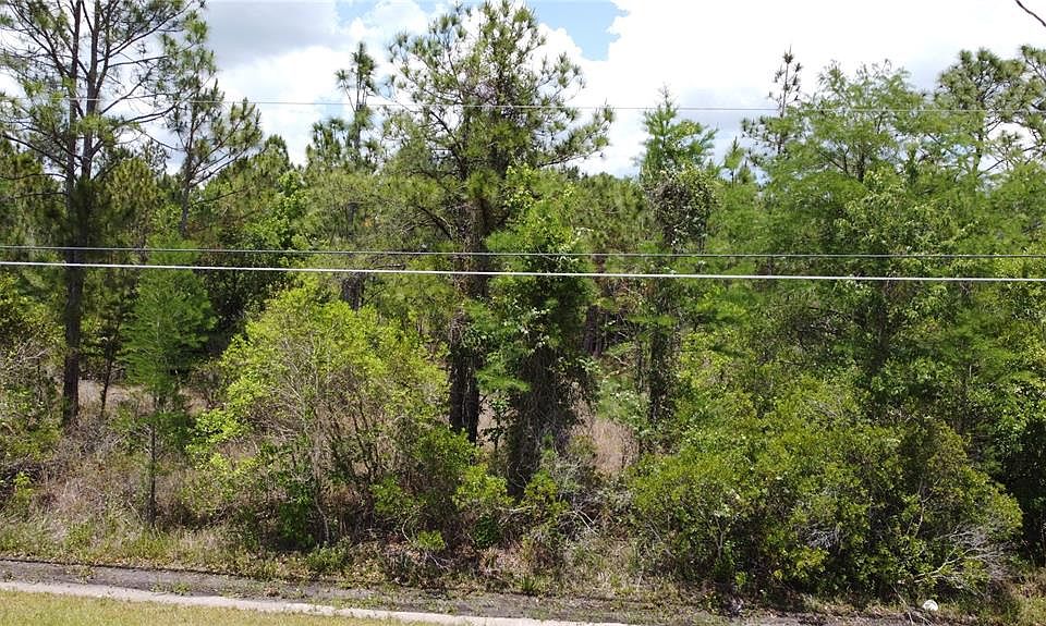 1st image of Starry St Lot 99
