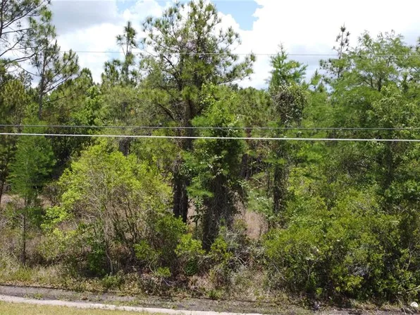Starry St Lot 99, Orlando, FL 32833