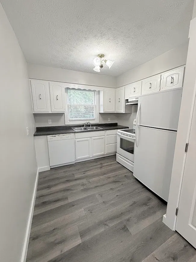 3 bed, 1300 sqft, $1,250 — Photo 3