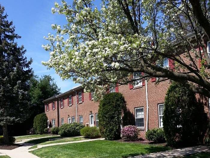 Courtyard Spring