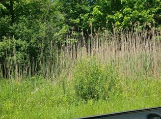 98 Riverside Point Dr, Pulaski, NY 13142