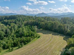 99999 Bob Wright Hill Rd, Leicester, NC 28748