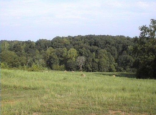 2nd image of Hidden Meadow Ln