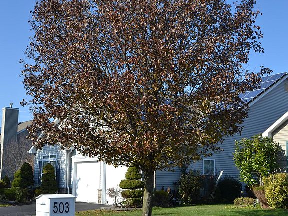 2nd image of 503 Bennington Ln