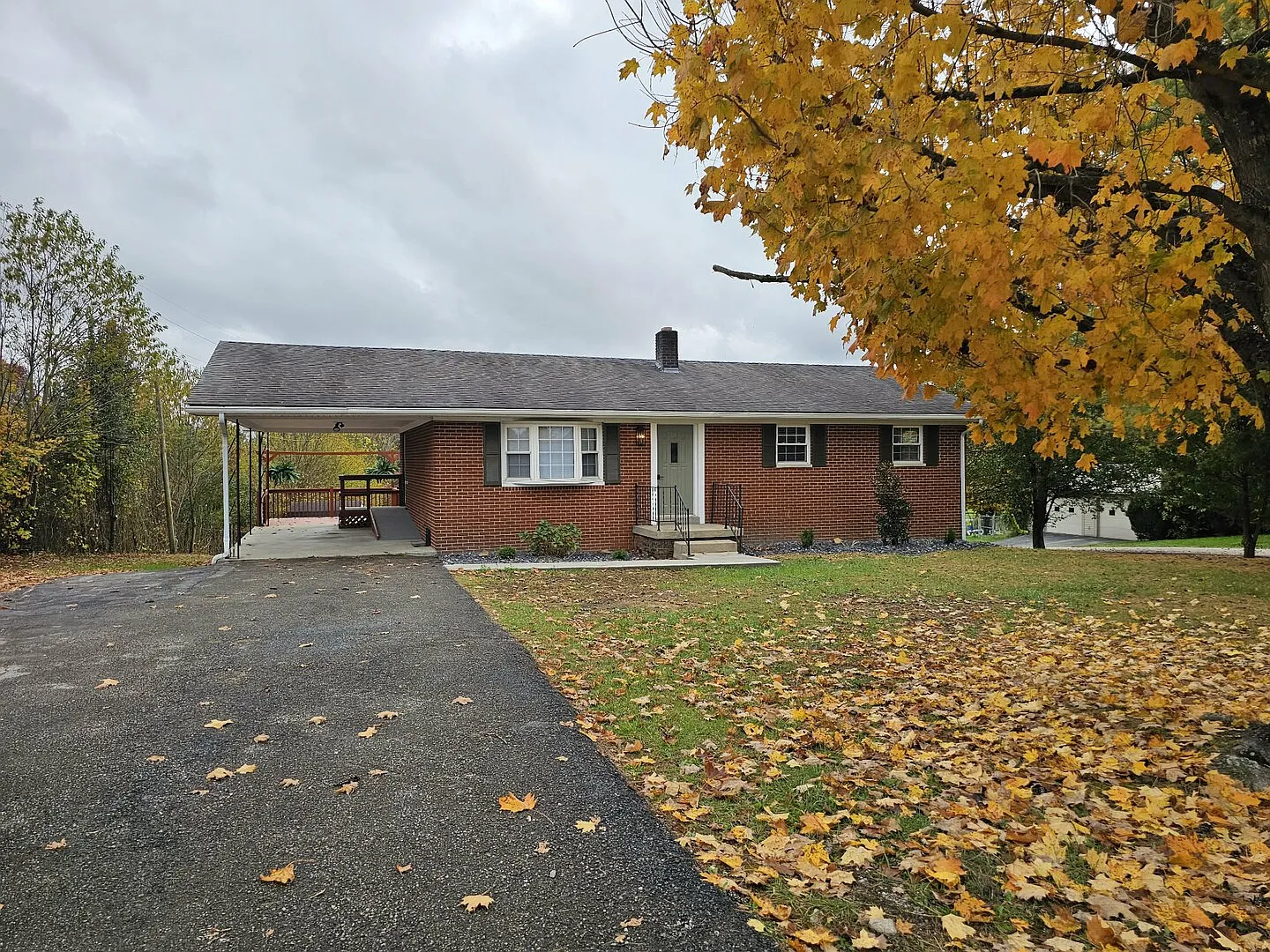 Maple Grove — Photo 1