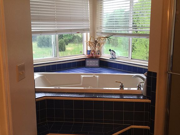 Garden Tub with View