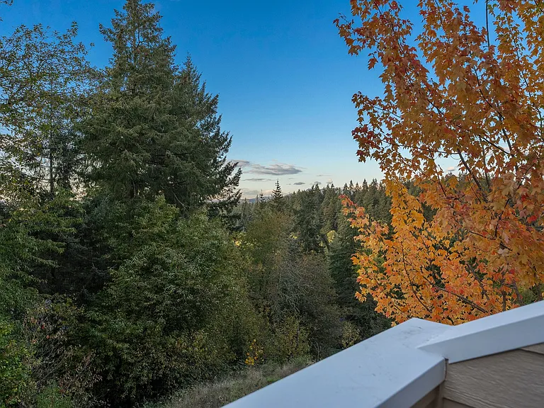 3810 Colony Oaks Dr — Photo 19