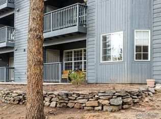 160 Riverside Dr #B2, Estes Park, CO 80517