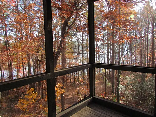 Wildwoods of Lake Johnson Photo 1