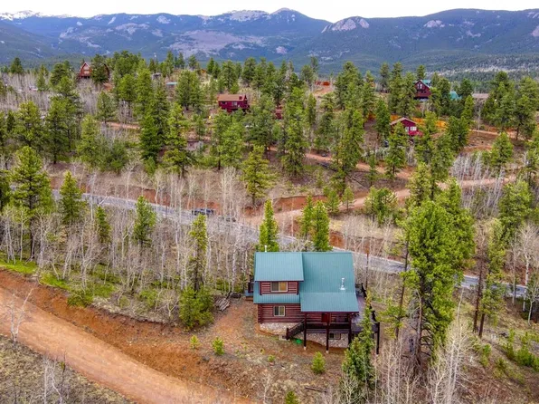 1152 Shelton Dr, Bailey, CO 80421