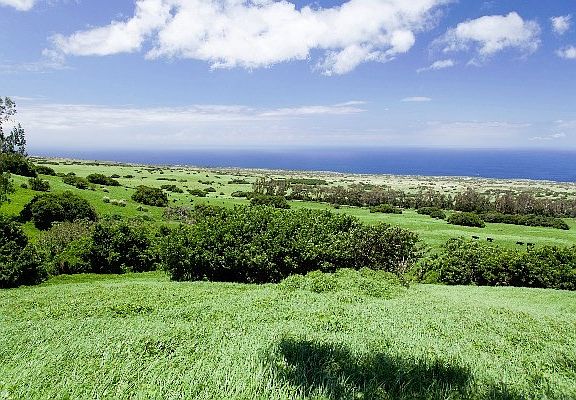 3rd image of Honoipu Puuhue Lot 2