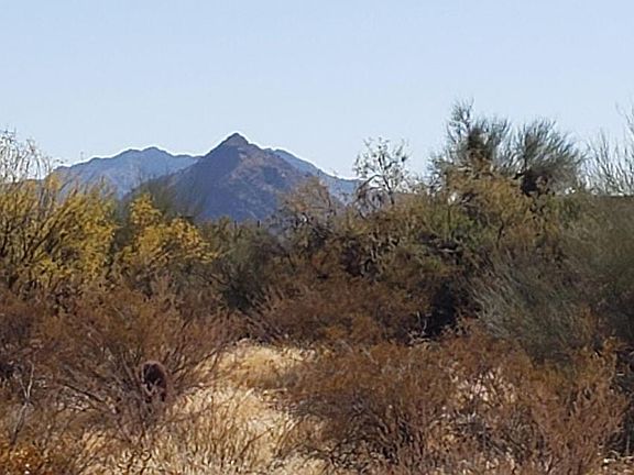 3rd image of 31601 N Black Cross Rd Lot 32