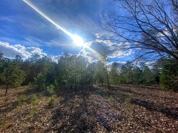 10.29 FARMERS BRIDGE RD, Hephzibah, GA 30815